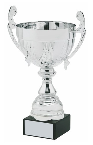 Trofeo coppa personalizzato - trofeo,
