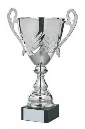 Trofeo coppa personalizzato - coppa,